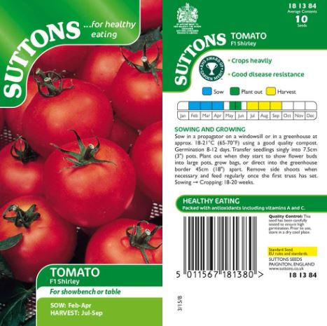 Tomato F1 'Shirley (Indeterminate)' - Seeds - Image 4
