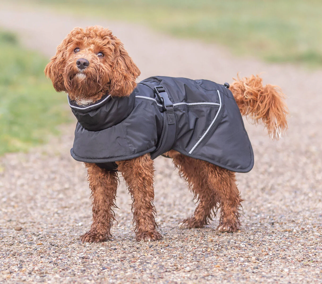 Trixie Brizon Winter Coat Black - Image 10