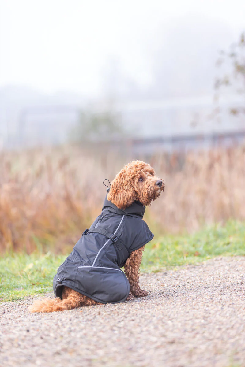 Trixie Brizon Winter Coat Black - Image 9