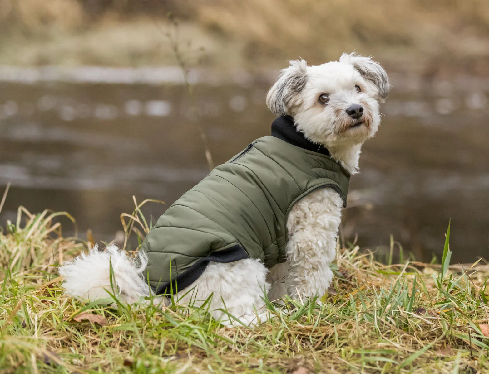 Trixie Coat Arlay Khaki - Image 8