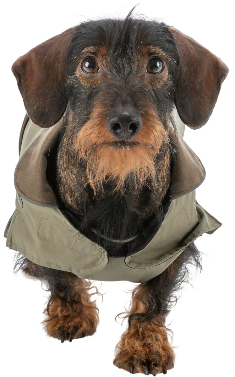 Trixie Hermy Coat Olive Green - Image 11