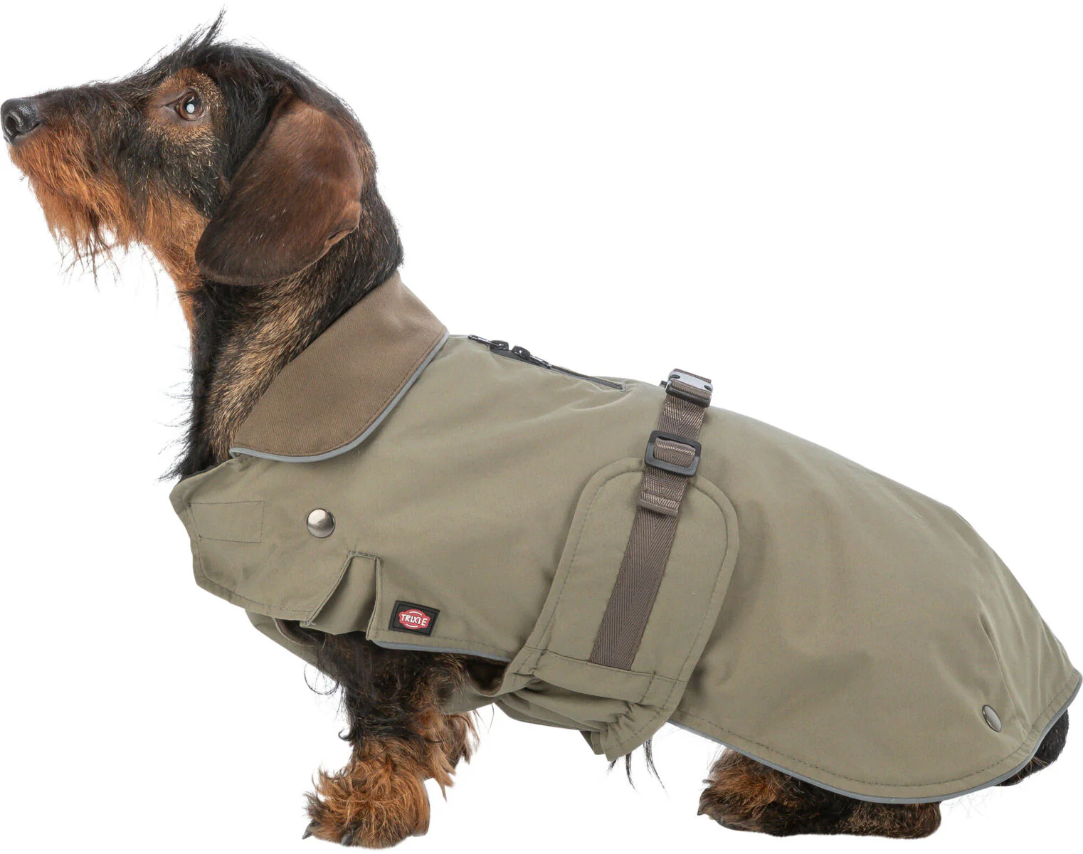 Trixie Hermy Coat Olive Green - Image 12