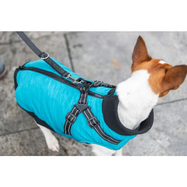 Trixie Pontis Coat with Harness Aqua - Image 6