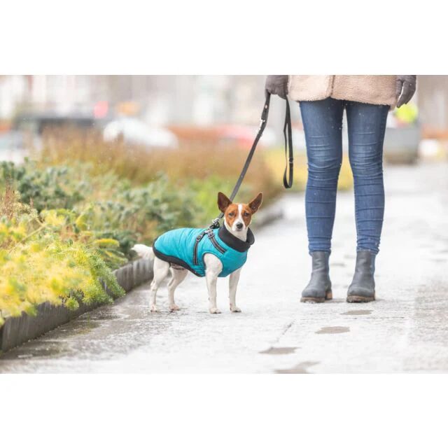 Trixie Pontis Coat with Harness Aqua - Image 7