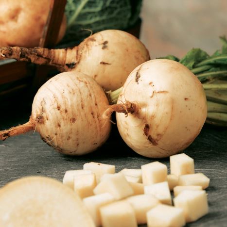 Turnip 'Golden Ball' - Seeds