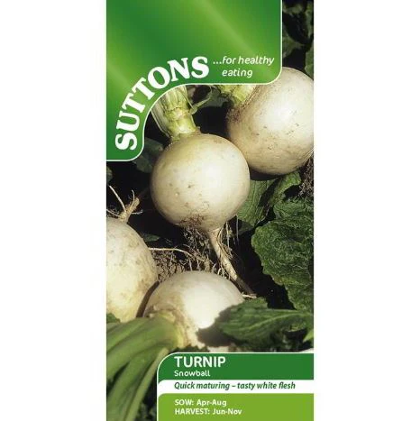 Turnip 'Snowball' - Seeds - Image 2